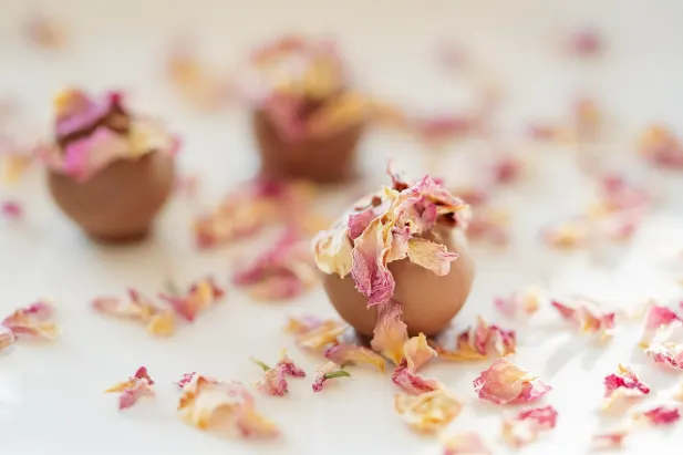 Casino Fantastic Spins Android/iOS Forrit